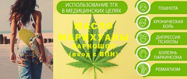 дмт Ельня