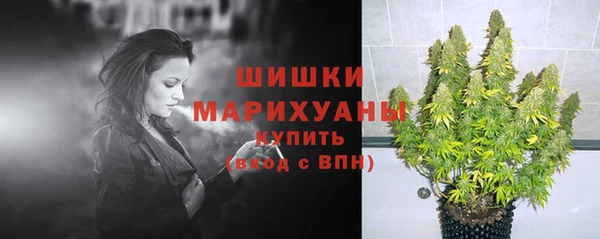 бошки Алзамай
