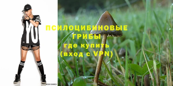бошки Алзамай