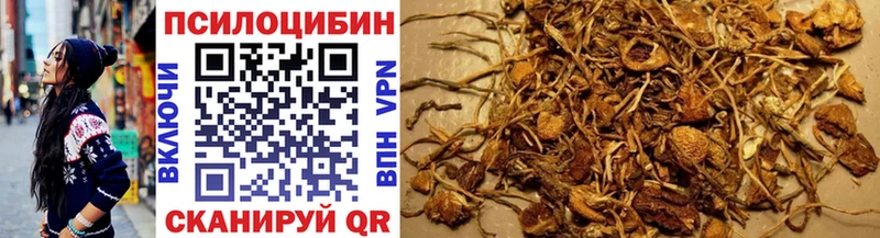 наркотики  Камешково  Псилоцибиновые грибы GOLDEN TEACHER 