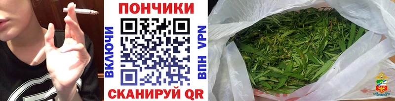 купить наркотики цена  Камешково  Шишки марихуана Bruce Banner 